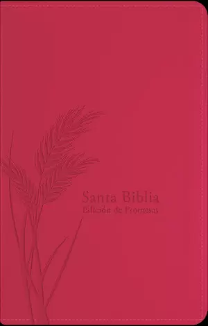 BIBLIA RVR60 PROMESAS L GRANDE MANUAL IMIT PIEL FUCSIA CREMALLERA