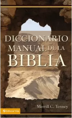 DICCIONARIO MANUAL BIBLIA RUSTICA