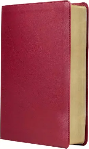 BIBLIA RV REVISADA ESTUDIO TRASFONDO CULTURAL BURDEOS