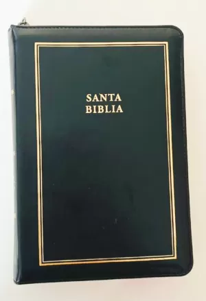BIBLIA RVR60 L GIGANTE NEGRO CREMALLERA ÍNDICE