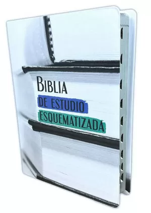 BIBLIA RVR60 ESTUDIO ESQUEMATIZADA L GRANDE IMIT PIEL ÍNDICE