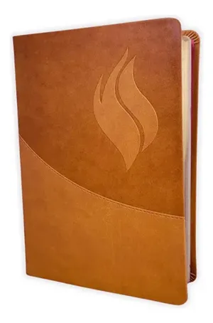 BIBLIA RVR60 ESTUDIO VIDA PLENA MARRÓN IMIT PIEL