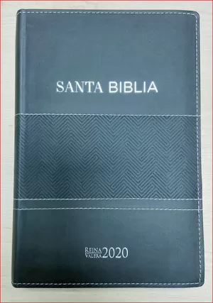 BIBLIA RVR2020 075C LG IMIT PIEL GRIS