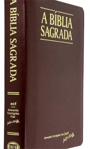 BÍBLIA SAGRADA ACF L GRANDE CAPA LUXO VINHO